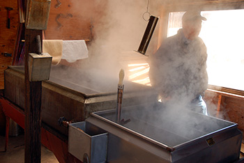 Maple sugar making