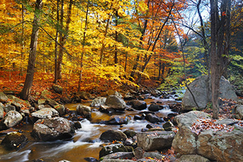 Vermont fall river