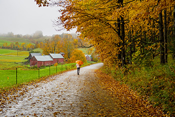fall-rain fall rain