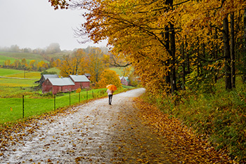 fall rain