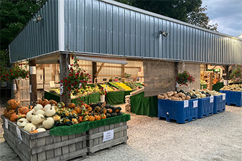 farm stand 1