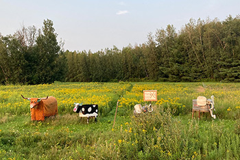 field art