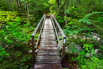 long-trail long trail